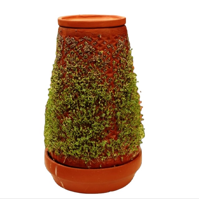Mittikalaa Self watering planter